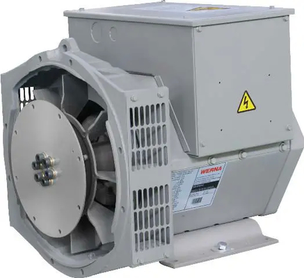 comprar Potente generador de CA de fase única de 2,2 kW para diversas aplicaciones online manufacture