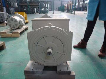 comprar 110V ~ alternador doble sin cepillo síncrono 40kw/50kva del transporte 690V online manufacture